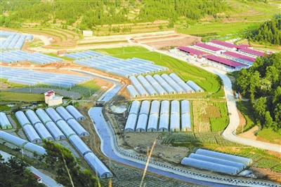 基地鳥瞰圖